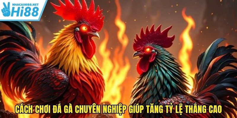cach-choi-da-ga