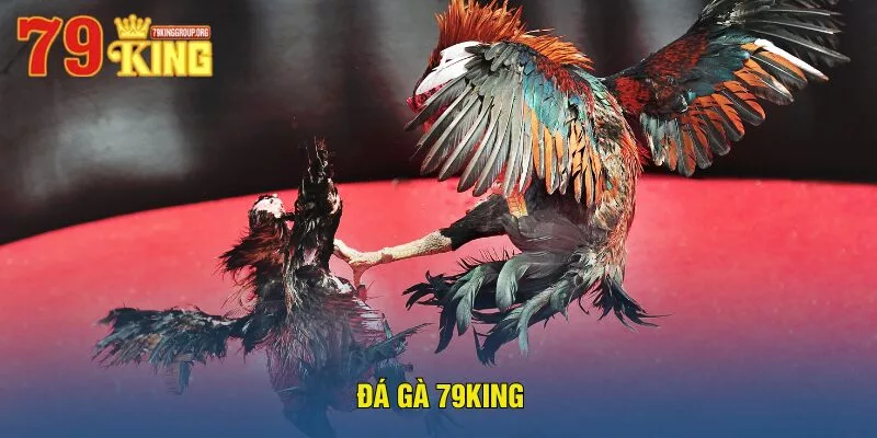 da-ga-79king